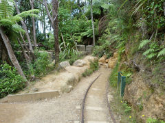 
The Woodstock 'Windows'  tramway, Karangahake, January 2013